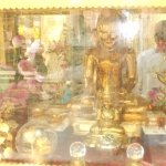 DSCN4280