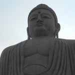 DSCN4338